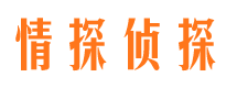 金口河侦探公司